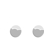 Vita Coco Webinar - Optimising Demand and Inventory Planning